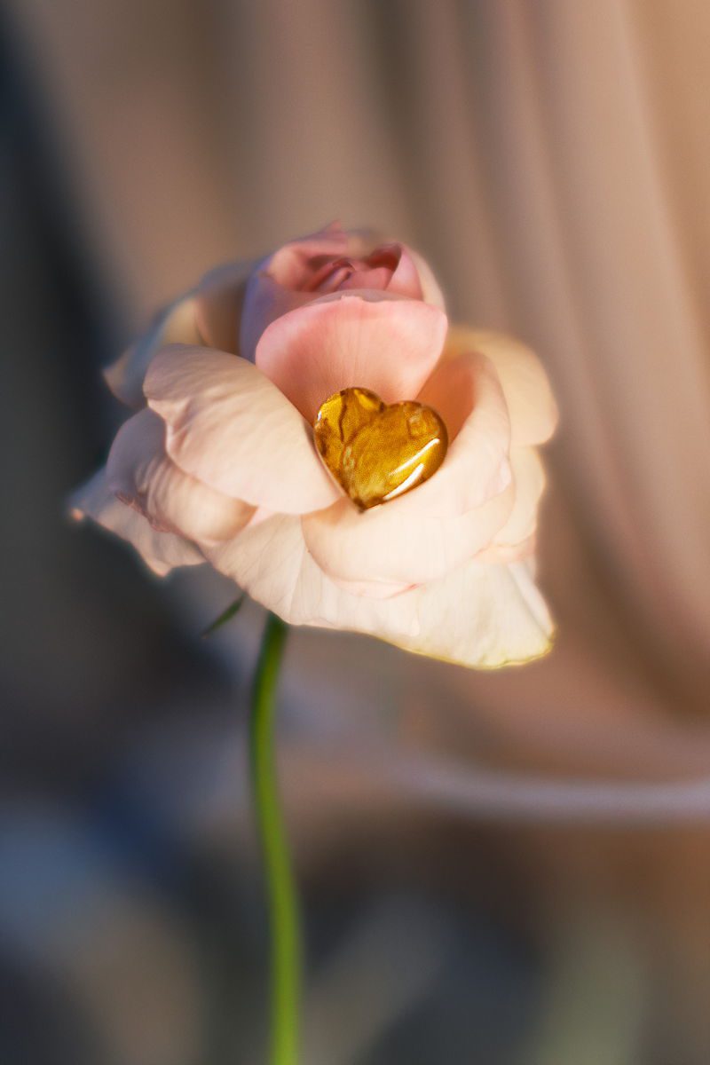 Anello Petali (Rosa rossa)