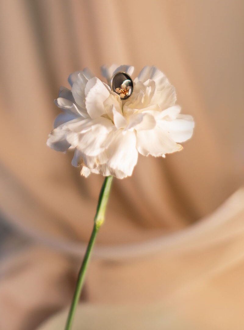 Anello Spirea ovale immagine 2 | Fiorire Bottega Floreale